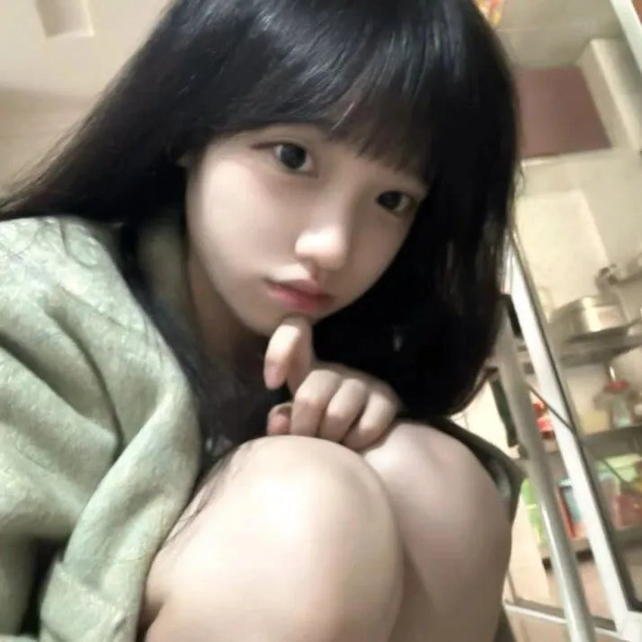 狮子狗行动